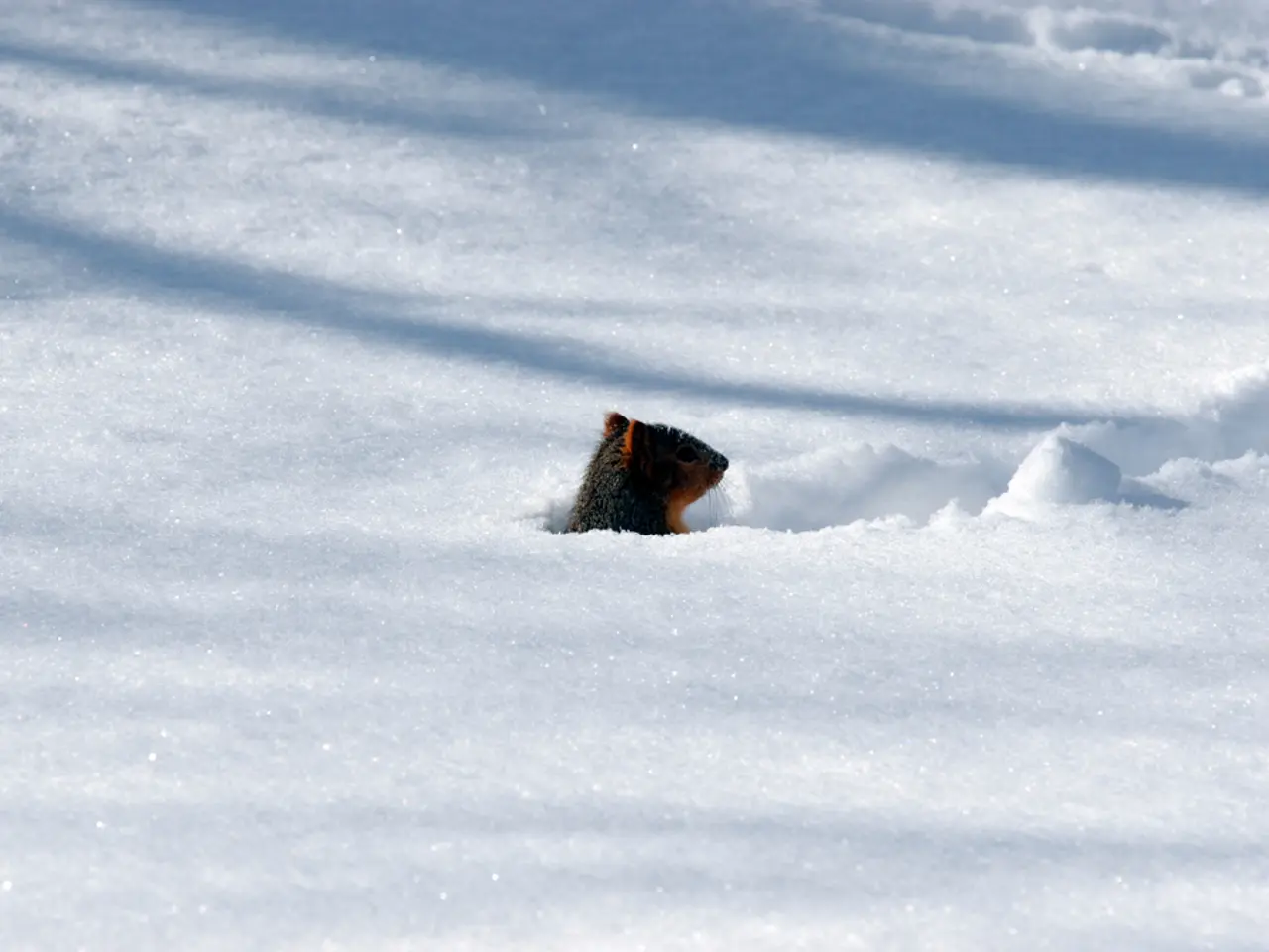 Guide for Appropriate Clothing During Winter Outdoor Ventures