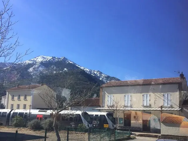 Mayan Train Journey: Travel Across Yucatan Region by the Modernized Train System Named Tren Maya