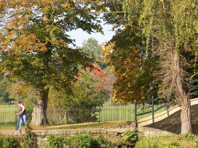 Strategies to Experience National Parks in Peace and Solitude, Evading Tourist Congestion