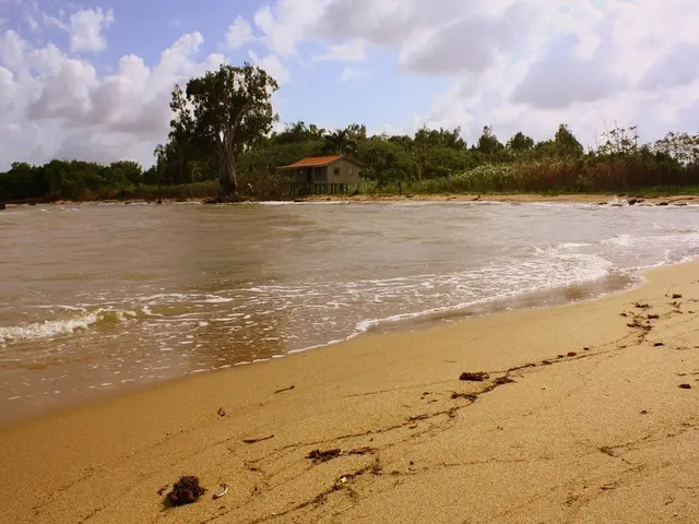 San Diego Beach House Ideal Accommodation for Your La Jolla Vacation