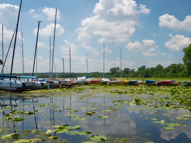 Uncover Tales Unseen on the Web, Shared by Seasoned Sailor Teo Tomić, on the Island of Šolta