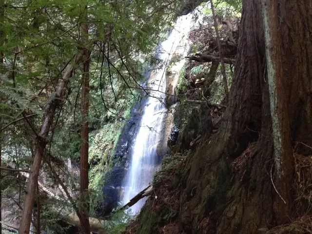 Embracing Autumn's Charm in Our Beloved Urban Hub