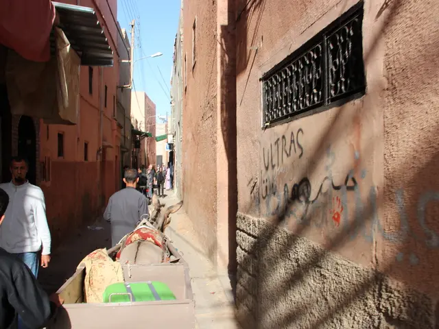 Living Standards and Affluence in New Zealand: An Overview