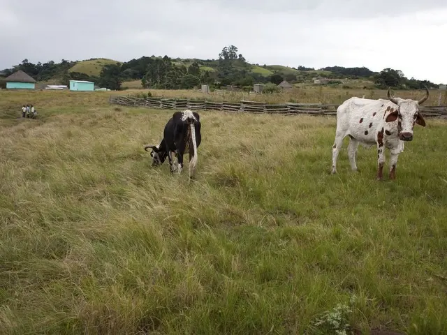 Temporarily Housing Farmers in Schleswig-Holstein