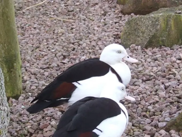 Cycle the Wild 100-Mile Terrain of Maine this Summer with AMC