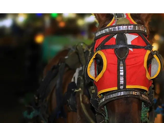 Trim and Innovative Dwellings: The Revolution of Compact Housing in Japan and Hong Kong