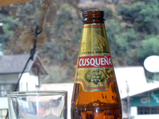 Exciting Vino Expeditions This Summer: Exploring Vineyards and Scenic Views