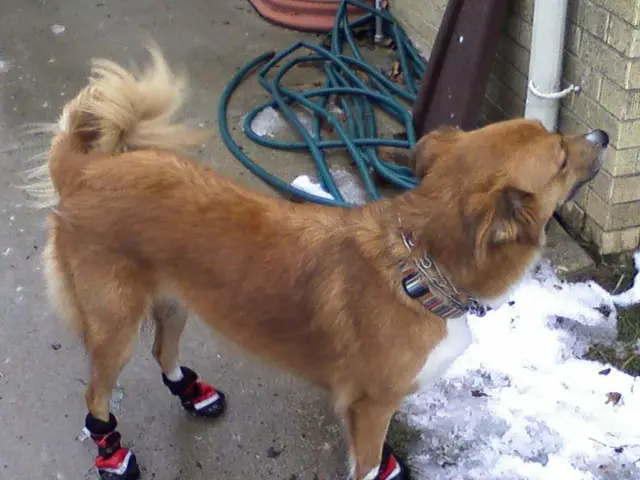 Evening Newspaper Readers' Perspectives: July 25, 2025