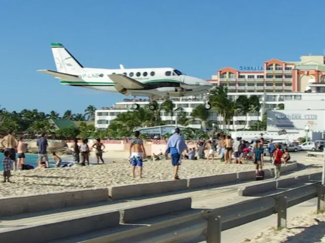 Imminent reclamation project near seagrass meadows raises questions regarding the secrecy...