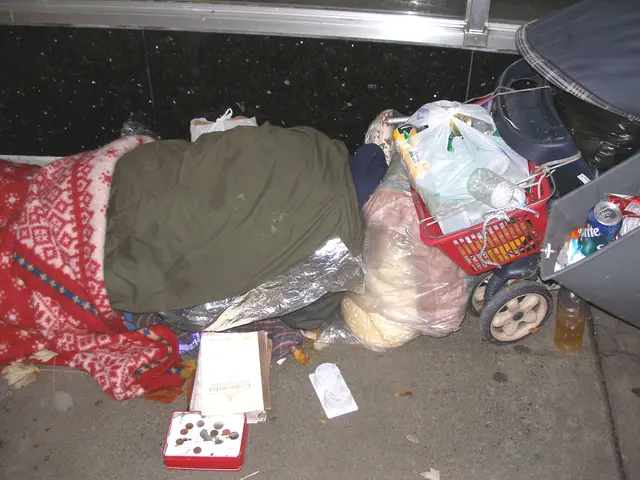 Guide for a Stress-Free Holiday Beginning