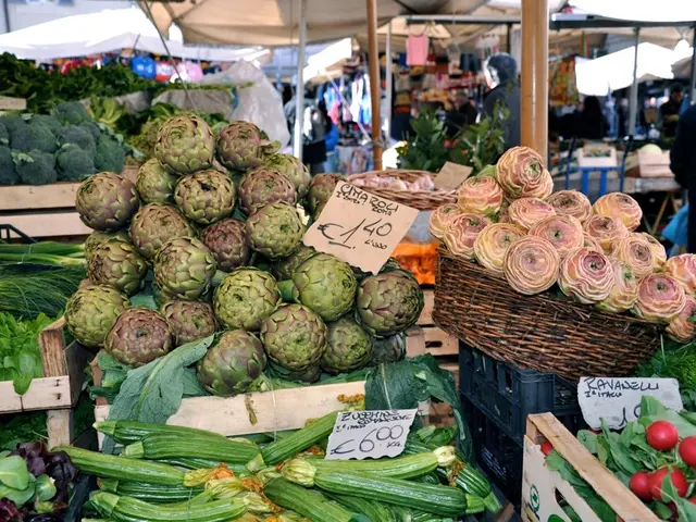 Affordable RV Camping Accommodation at Disney World Offers an Appealing Option