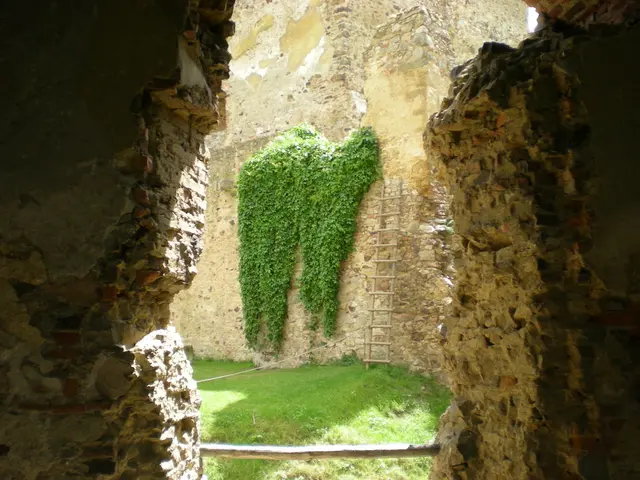 Bonsai Pot Decorations: Balancing Visual Appeal and Design with Rocks and Pebbles