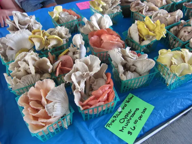 'A contentious discussion unfolds': Controversial discussion on Baltic Island