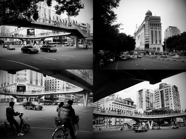 Consultations have been held regarding these matters by the Commission: