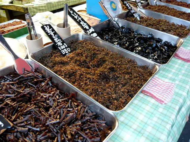 EU approves new regulations for airports