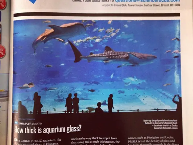 Tribal Communities Find Renewed Optimism in Deb Haaland's Pandemic Response Nomination