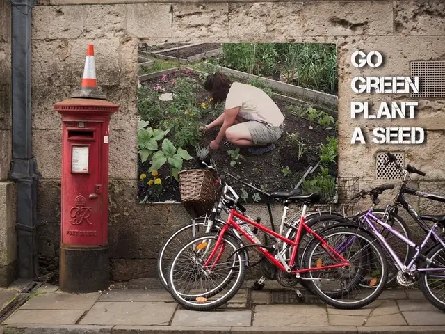 Explore Germany's Most Stunning Biking Routes