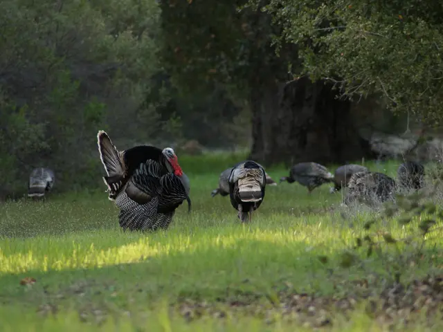 Airline passengers in Turkey penalized for prematurely rising from their seats aboard a Pegasus...