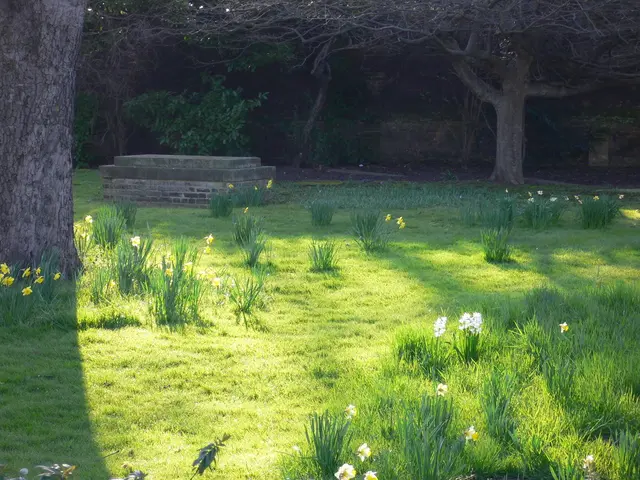 Exploration within the Buckingham Palace gardens