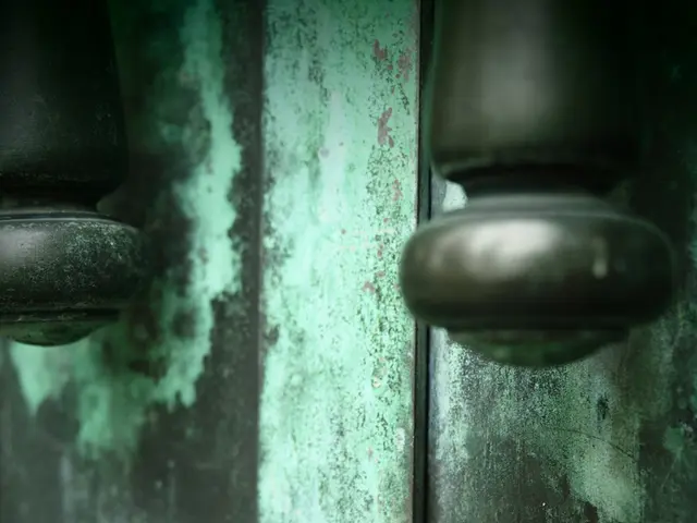 Determining the appropriate Al-Ko wheel lock for your caravan: Find the right fit.