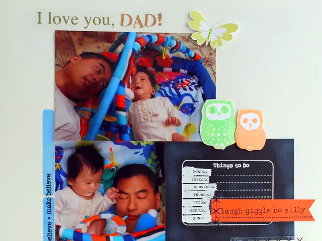 New Arrival: FreeCard 2.0 Update