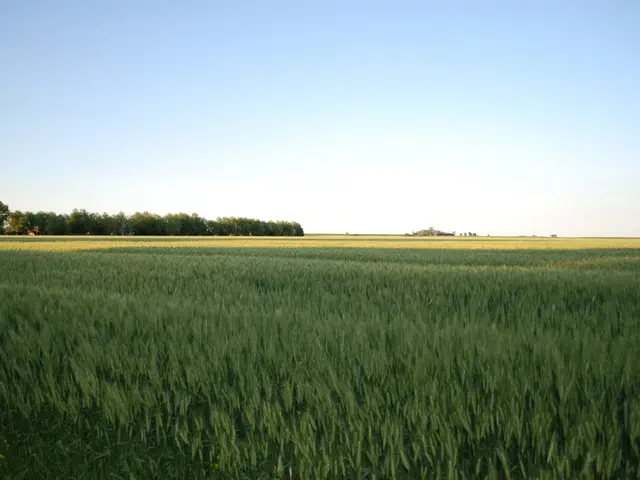 Exploring the Origins of Syracuse's Strong Irish Connection (Video)