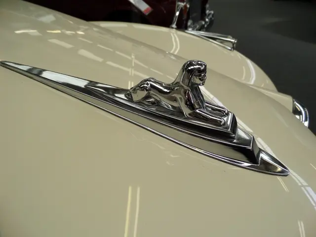 Factors Affecting the Remuneration of Car Dealership Owners