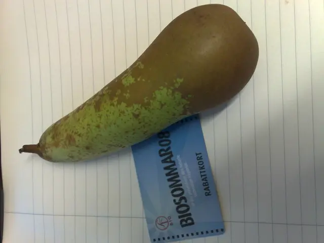 "Recognition of secure journey locales: prestigious 'Safe Travels' seal bestowed upon top travel...