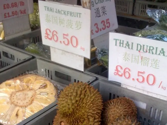 TikTok launches a fresh monetization avenue for travel content creators within the United States