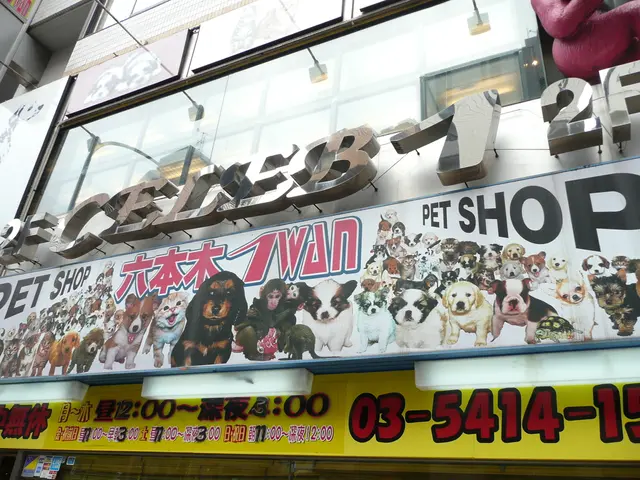 February 5, 2025: Focal Point Unveiled