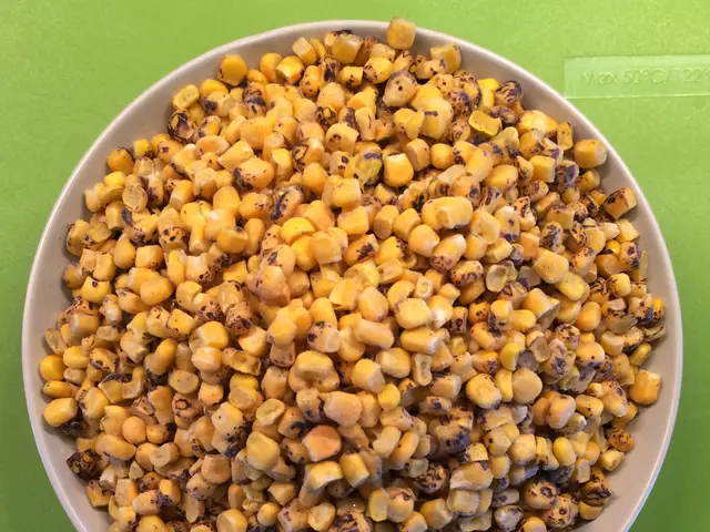 Revived Traditional Gardening Knowledge among the Haudenosaunee and the Emergence of the Seed...