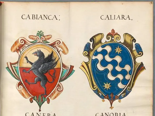 Branding Strategies: 14 Logo Variations to Amplify Your Company Identity