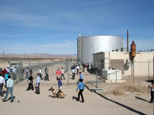 Canada's tourism surge by 11.8% coincides with increased travel avoidance of the US