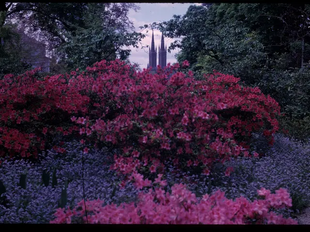 Discover Kyoto in a Short Span: Exploring Top Attractions and Activities in Japan's Ancient Capital