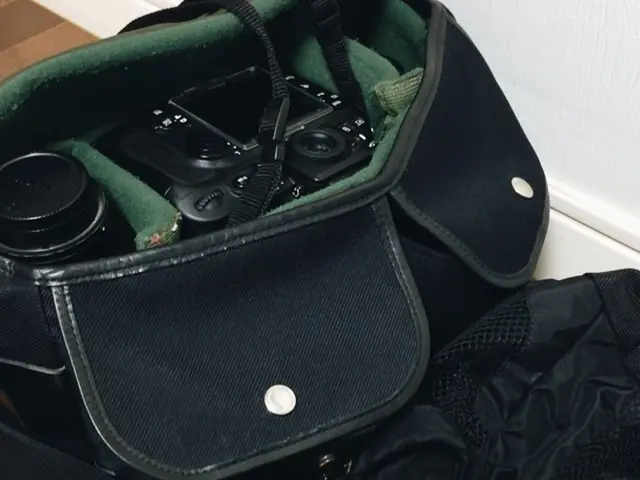 Disposable Film Camera Photos ruined by Airport Scanner Screening