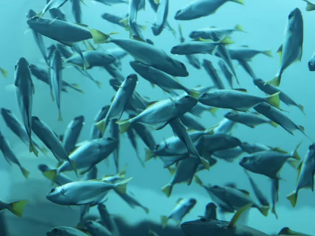 River and Lake Fishing: A Comprehensive Q&A on the Topic