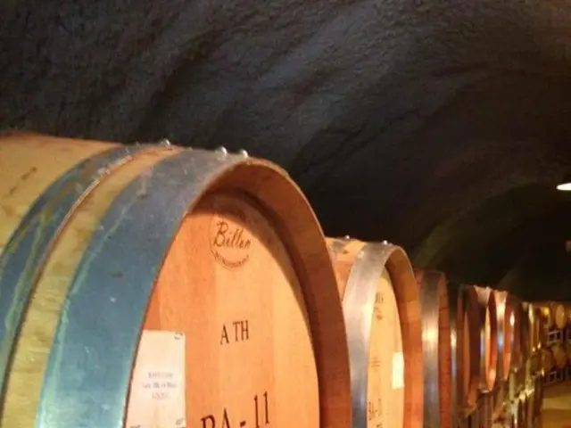 Secondary Iran Sanctions Discussed by Wynn Segall, as Cited by Law360