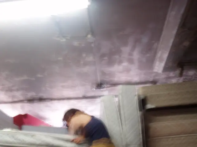 Examined a multitude of mattress toppers, yet this offer stands out excellently for memory foam...