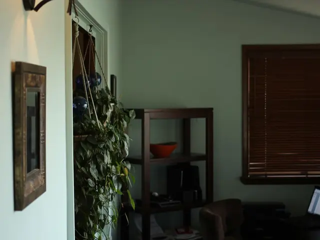 15 top-notch indoor plants suitable for hanging