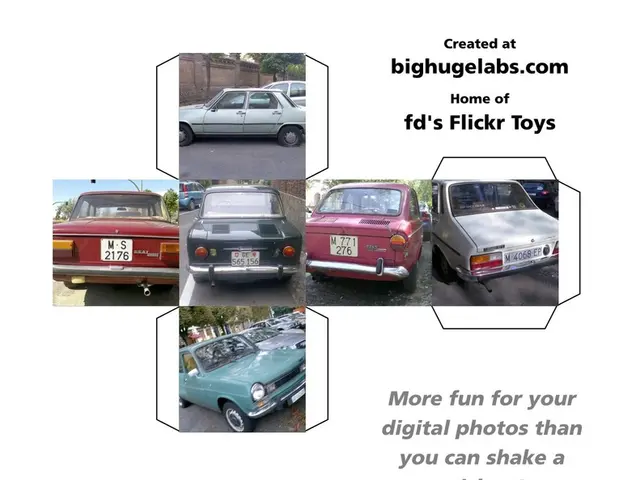 Guide for purchasing a vehicle on our platform: unclear but thorough insights provided