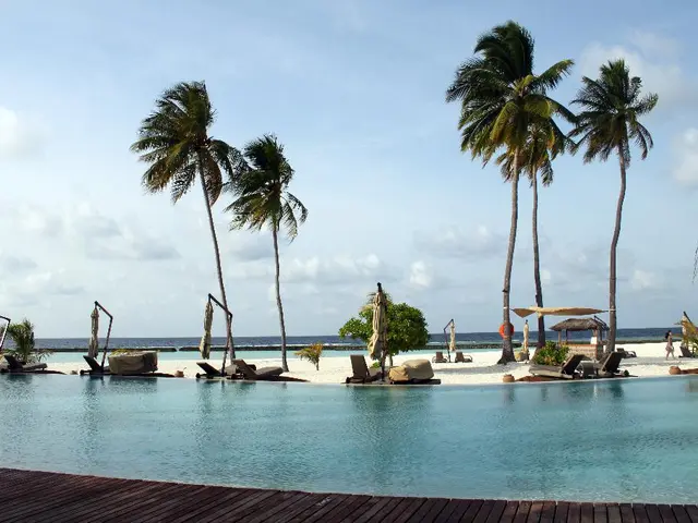 Miami Beach Travel Guide