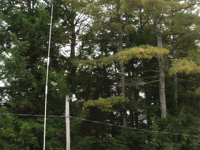 Essential knowledge for securing your caravan from theft