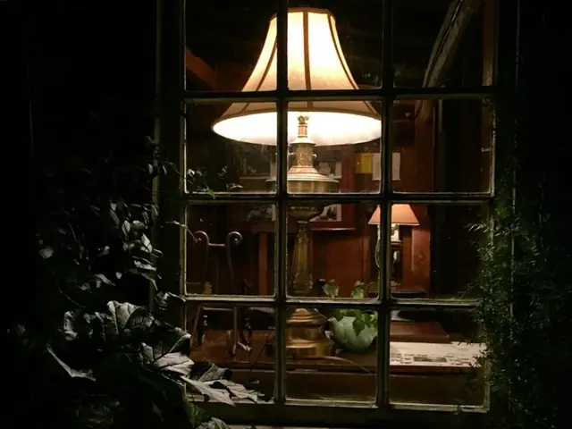 Top 12 Outdoor Herbarium Essentials for Stunning Plant Arrangements that Amaze